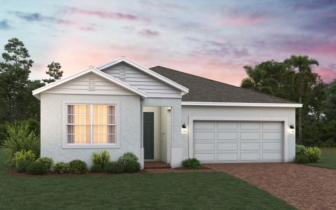 New construction Single-Family house 6725 Golden Eagle Boulevard, Leesburg, FL 34737 - photo 3 3
