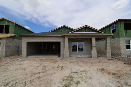 New construction Single-Family house 31843 Sapna Chime Drive, Wesley Chapel, FL 33545 Picasso- photo 22 22