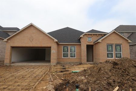 New construction Single-Family house 510 Chatham Street, Oak Point, TX 75068 Pewter- photo 26 26