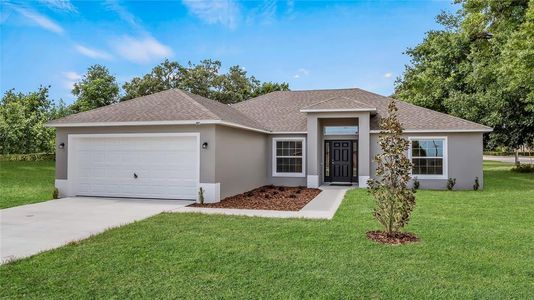 New construction Single-Family house 40616 W Fourth Avenue, Umatilla, FL 32784 - photo 0