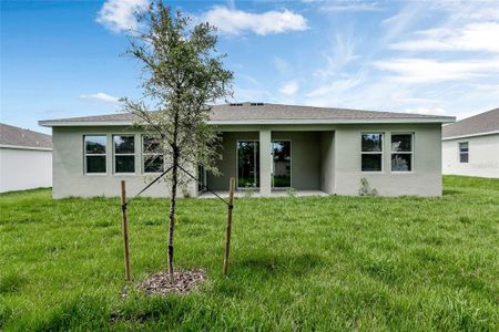 New construction Single-Family house 3060 Country Side, Apopka, FL 32712 Riverview- photo 25 25