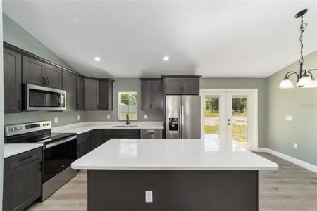 New construction Single-Family house 15072 Se 93Rd Court, Summerfield, FL 34491 - photo 16 16