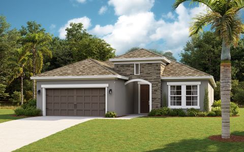 New construction Single-Family house 5412 Silver Sun Drive, Apollo Beach, FL 33572 - photo 4