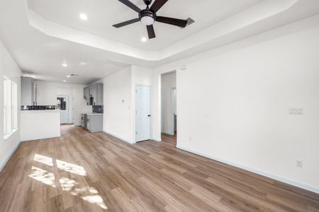 Looking from Front Door into Living Area