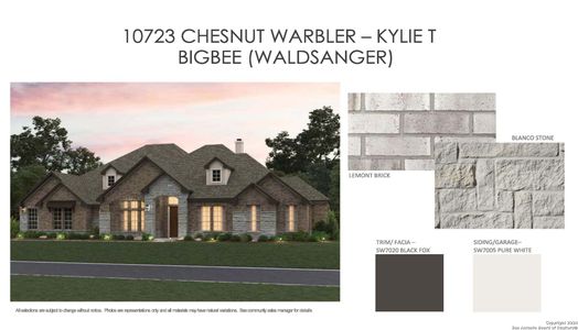 New construction Single-Family house 10723 Chestnut Warbler, New Braunfels, TX 78132 Kylie Homeplan- photo 1 1