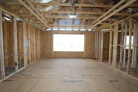 New construction Single-Family house 2522 Sunny Pebble Loop, Zephyrhills, FL 33540 Mira Lago- photo 64 64
