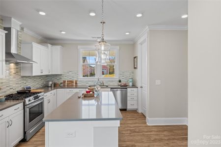 Riverwalk by Avencia Homes in Rock Hill - photo 18 18