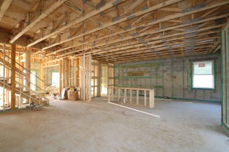 New construction Single-Family house 12114 Hilltop Farms Drive, Dade City, FL 33525 Alenza- photo 53 53