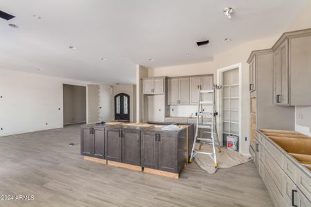 New construction Single-Family house 2885 W Saber Road, Phoenix, AZ 85086 - photo 10 10