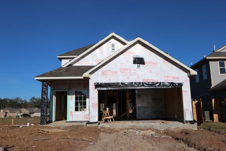 New construction Single-Family house 22375 Curly Maple Drive, New Caney, TX 77357 Gardenia- photo 13 13
