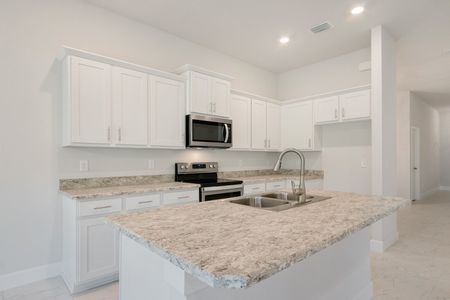 New construction Single-Family house 2000, 14152 Spring Hill Drive, Spring Hill, FL 34609 - photo