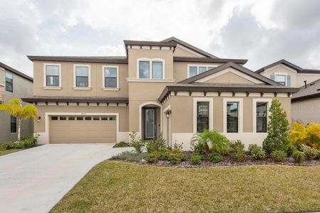 New construction Single-Family house 14529 Woodland Spur Drive, Lithia, FL 33547 - photo 0