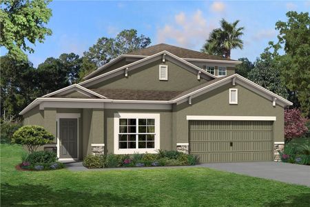 New construction Single-Family house 2926 Ivory Bluff Court, Zephyrhills, FL 33540 - photo 2 2