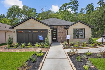 New construction Single-Family house 11607 Whirlaway Drive, Willis, TX 77318 - photo 0