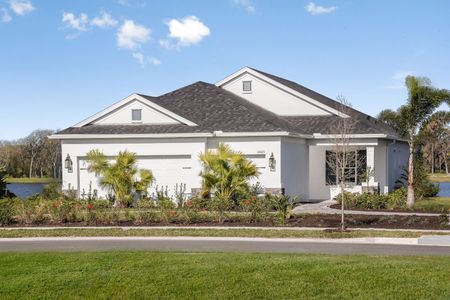 New construction Single-Family house 10025 Hammock Brook Drive, Parrish, FL 34219 - photo 0