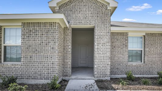New construction Single-Family house 207 Saddletree Drive, Josephine, TX 75173 - photo 7 7