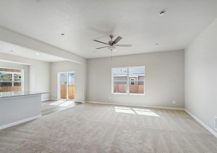 New construction Single-Family house 881 Sawdust , Brighton, CO 80601 - photo 12 12