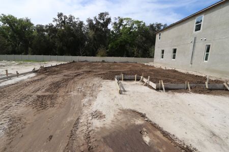 New construction Single-Family house 2530 Sunny Pebble Loop, Zephyrhills, FL 33540 Salinas- photo 4 4