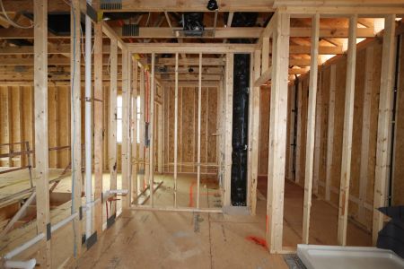 New construction Single-Family house 3122 Armeria Drive, Apex, NC 27502 Belmont- photo 11 11