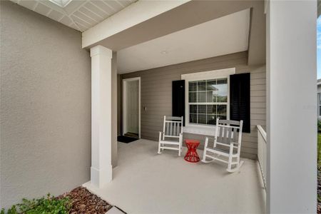 New construction Single-Family house 4320 Rustling Pines Terrace, Parrish, FL 34219 - photo 3 3