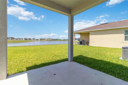 New construction Single-Family house 9327 Sandy Bluffs Circle, Parrish, FL 34219 - photo 27 27