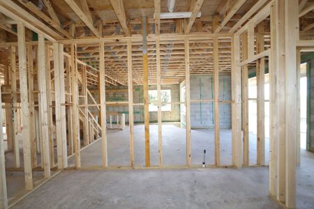 New construction Single-Family house 2522 Sunny Pebble Loop, Zephyrhills, FL 33540 Mira Lago- photo 42 42