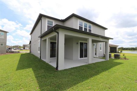 New construction Single-Family house 3002 King Fern Drive, Wimauma, FL 33598 - photo 13 13