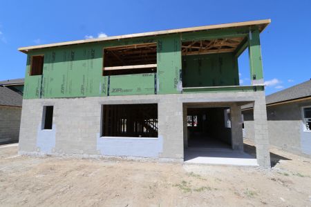 New construction Single-Family house 7690 Hemlock Seed Drive, Wesley Chapel, FL 33545 Sonoma II- photo 14 14