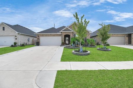 New construction Single-Family house 7911 Royal Palm Drive, Fulshear, TX 77441 - photo 2 2