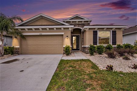 New construction Single-Family house 12031 Orchid Ash Street, Riverview, FL 33579 - photo 1 1