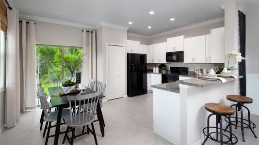 New construction Townhouse house 21415 Darter Road, Land O' Lakes, FL 34638 - photo 9 9