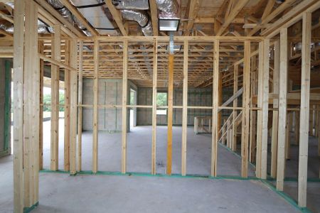 New construction Single-Family house 31810 Sapna Chime Drive, Wesley Chapel, FL 33545 Mira Lago- photo 31 31
