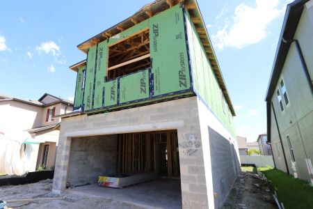 New construction Single-Family house 2852 Misty Marble Drive, Zephyrhills, FL 33540 Castellana- photo 44 44