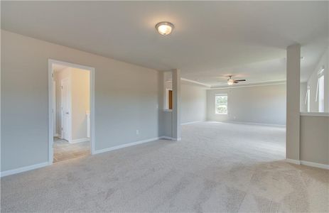 New construction Single-Family house 123 Crabswood Drive, Mcdonough, GA 30253 Everest III- photo 30 30