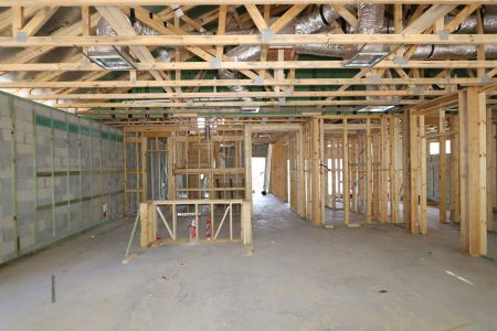New construction Single-Family house 2530 Sunny Pebble Loop, Zephyrhills, FL 33540 Salinas- photo 37 37