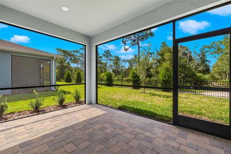 New construction Single-Family house 6064 Timberdale Avenue, Wesley Chapel, FL 33545 Largo- photo 13 13