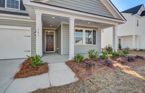 New construction Single-Family house 275 Pine Crest View Road, Summerville, SC 29486 - photo 3 3