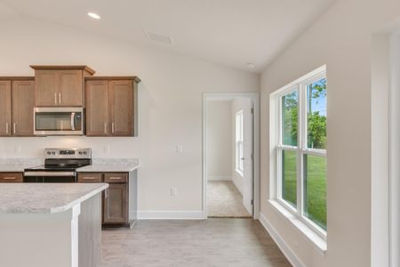 New construction Single-Family house 8636 Southeast 164th Place, Summerfield, FL 34491 - photo 12 12