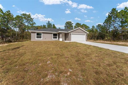 New construction Single-Family house 24053 Nw Tamarind Lane, Dunnellon, FL 34431 - photo 38 38
