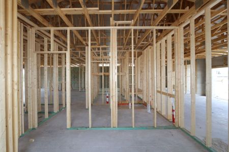 New construction Single-Family house 9465 Crescent Ray Drive, Wesley Chapel, FL 33545 Barcello- photo 14 14