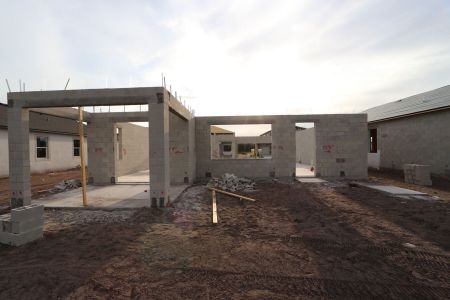 New construction Single-Family house 2956 Marine Grass Drive, Wimauma, FL 33598 Alenza- photo 9 9