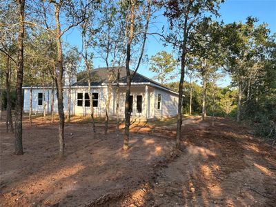 New construction Single-Family house 124 Heleakala Dr, Bastrop, TX 78602 - photo 16 16