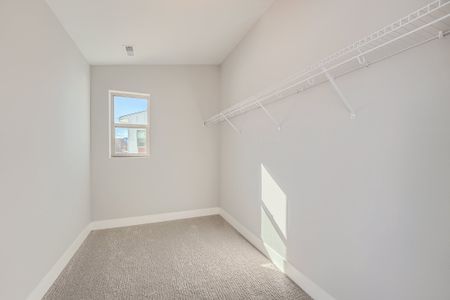 New construction Single-Family house 15192 West 69Th Place, Arvada, CO 80007 - photo 21 21