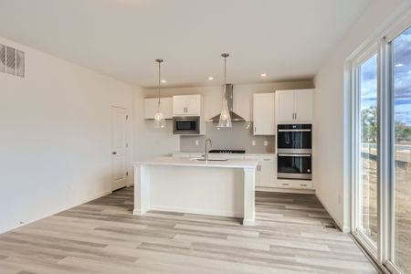 New construction Single-Family house 2014 Ballyneal Drive, Fort Collins, CO 80524 Silverthorne- photo 34 34