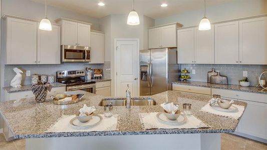 New construction Single-Family house 31420 Ancient Sage Road, Wesley Chapel, FL 33545 Siesta- photo 3 3