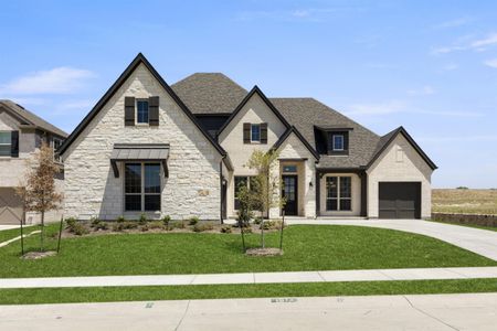 Nelson Lake Estates by Windsor Homes in Rockwall - photo 4