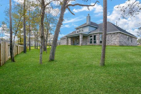 Mostyn Manor Reserve by Harrisburg Homes in Magnolia - photo 2 2