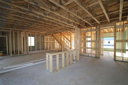 New construction Single-Family house 12114 Hilltop Farms Drive, Dade City, FL 33525 Alenza- photo 35 35