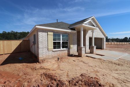 New construction Single-Family house 10101 Raven Path, Montgomery, TX 77316 Balboa - Smart Series- photo 93 93