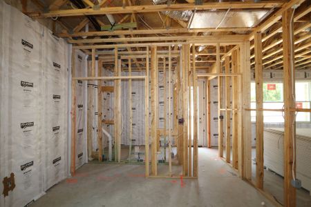 New construction Single-Family house 12078 Hilltop Farms Drive, Dade City, FL 33525 Mira Lago- photo 43 43